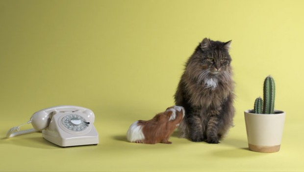 Televisie-uitzending prijswinnende jeugddocumentaire LUISTER